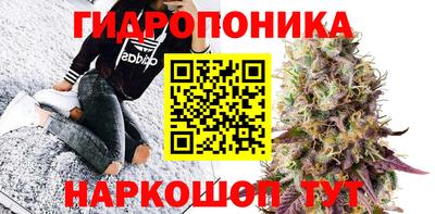 крисы Малоярославец