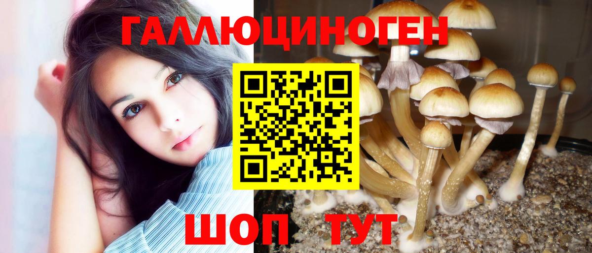 Тольятти  продажа наркотиков  Вход с VPN  Галлюциногенные грибы мухоморы  Псилоцибиновые грибы GOLDEN TEACHER 